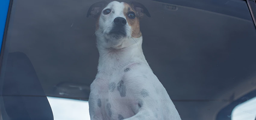 Car Lockout Solutions in Hercules, California